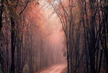 2-0！单局21-3碾压最强黑马，为李诗沣复仇，翁泓阳男单封王！.