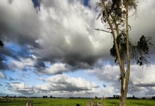 爱游戏：卡斯尔谈新秀赛季：这是很棒的一个赛季 不过我本可以打得更好.