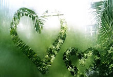 爱游戏：[CBA]多点开花 广东41分大胜残阵吉林.