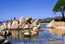 因未提前告知将参加贝肯鲍尔杯，岁拉菲尼亚被库里蒂巴解约.